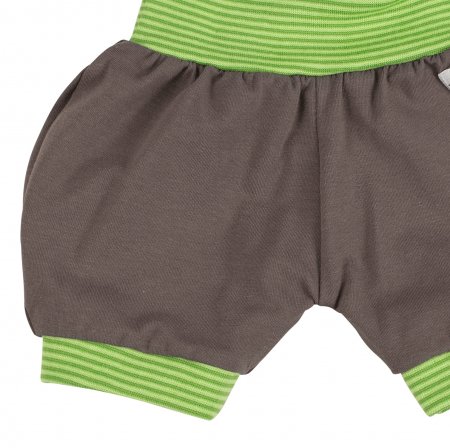 Shorts Uni Taupe Grün Gestreift