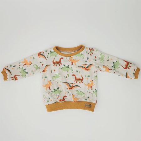 Sweater Langarm Shirt Dinosaurier
