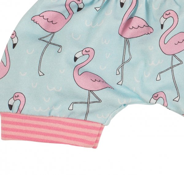 Shorts Flamingo Rosa 74/80